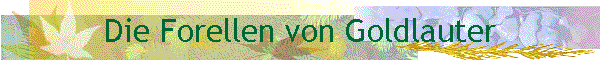 Die Forellen von Goldlauter